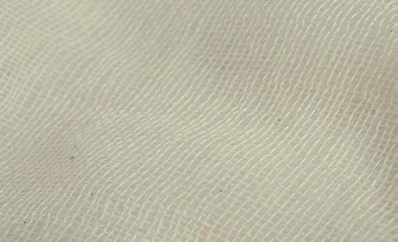 ΓΑΖΑ ΒΑΜΒΑΚΕΡΗ