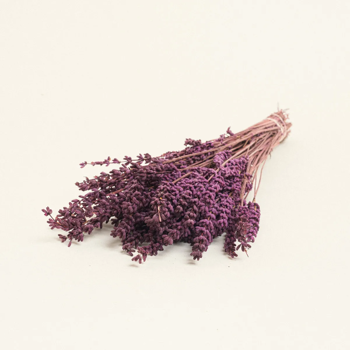 ΑΠΟΞΗΡΑΜΕΝΗ ΛΕΒΑΝΤΑ