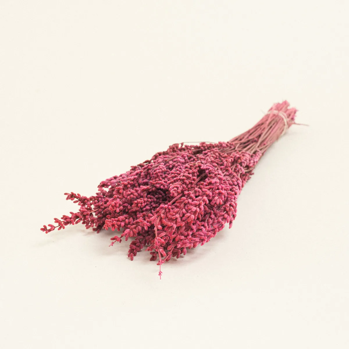 ΑΠΟΞΗΡΑΜΕΝΗ ΛΕΒΑΝΤΑ