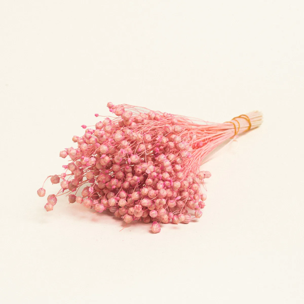 ΑΠΟΞΗΡΑΜΕΝΟ ΛΙΝΑΡΙ