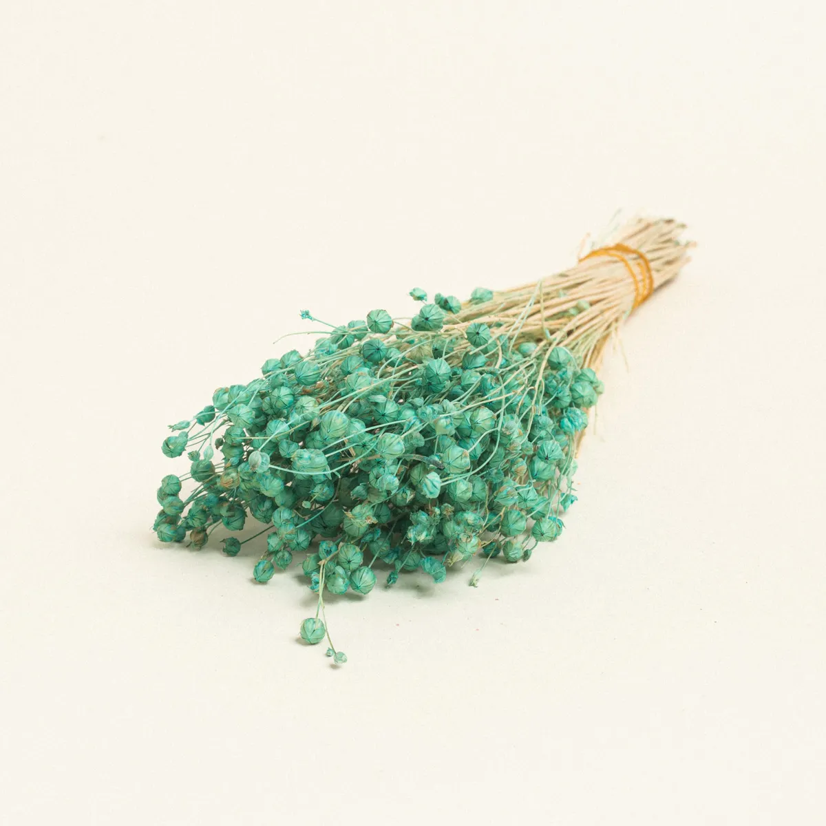 ΑΠΟΞΗΡΑΜΕΝΟ ΛΙΝΑΡΙ