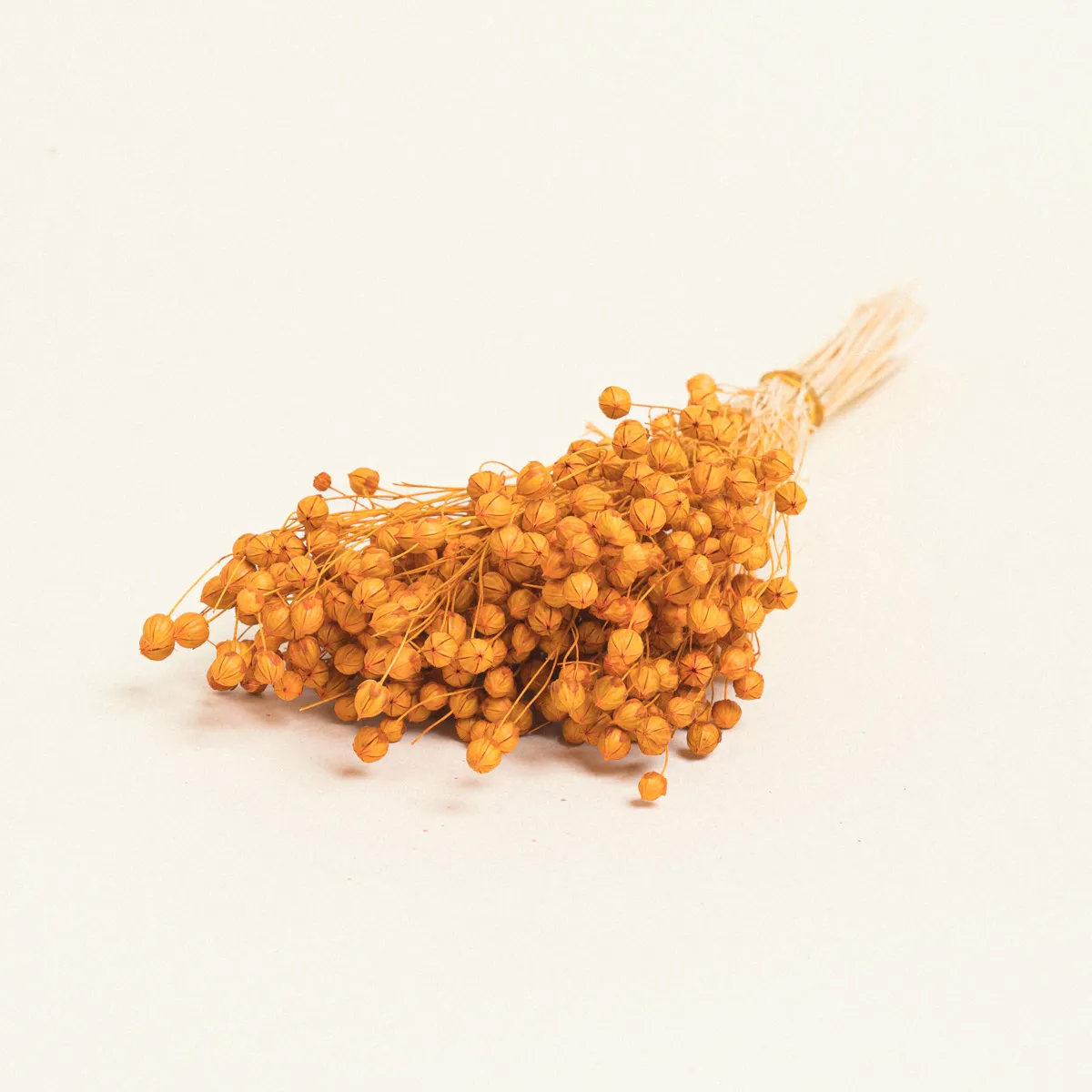 ΑΠΟΞΗΡΑΜΕΝΟ ΛΙΝΑΡΙ