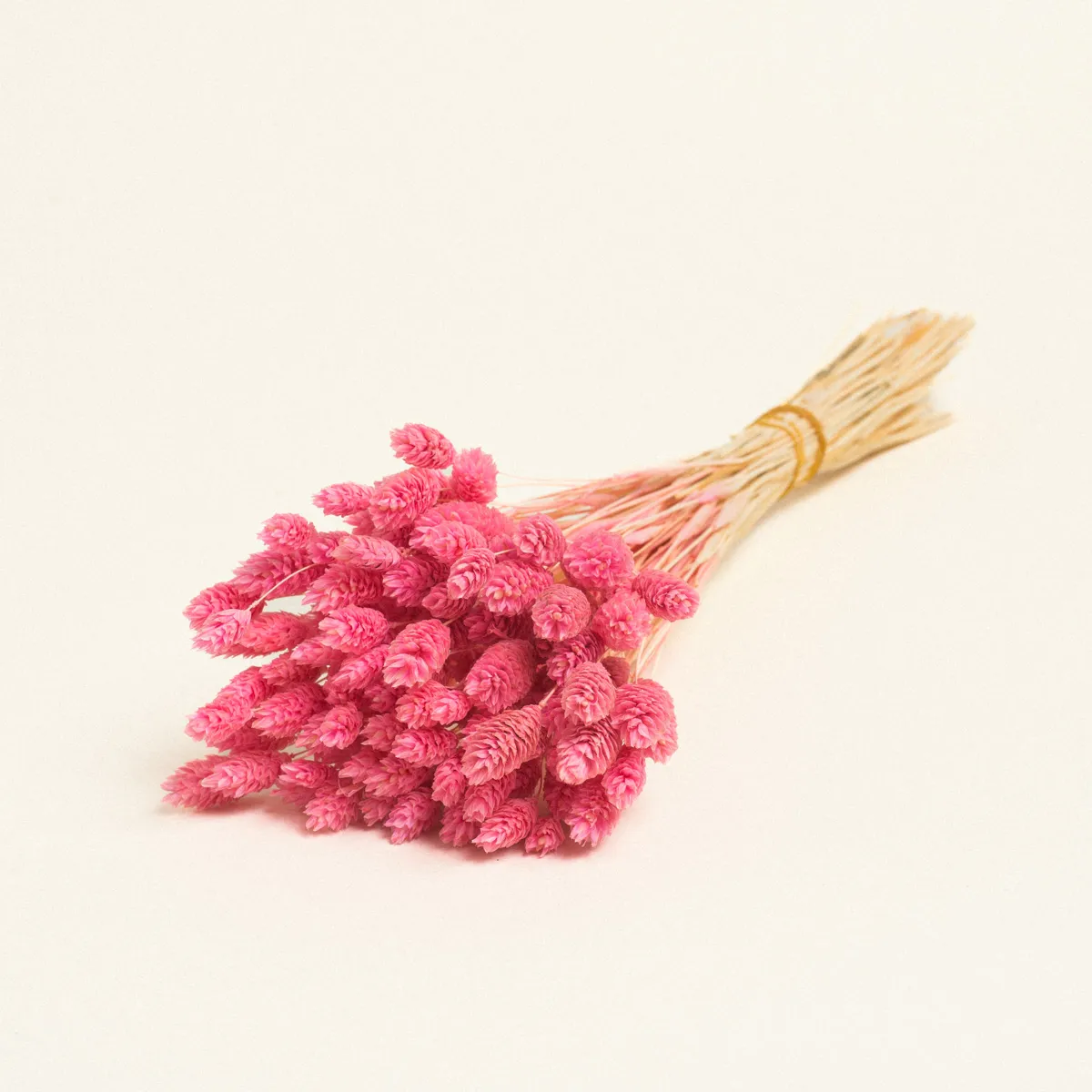 ΑΠΟΞΗΡΑΜΕΝΗ ΦΑΛΑΡΙΣ