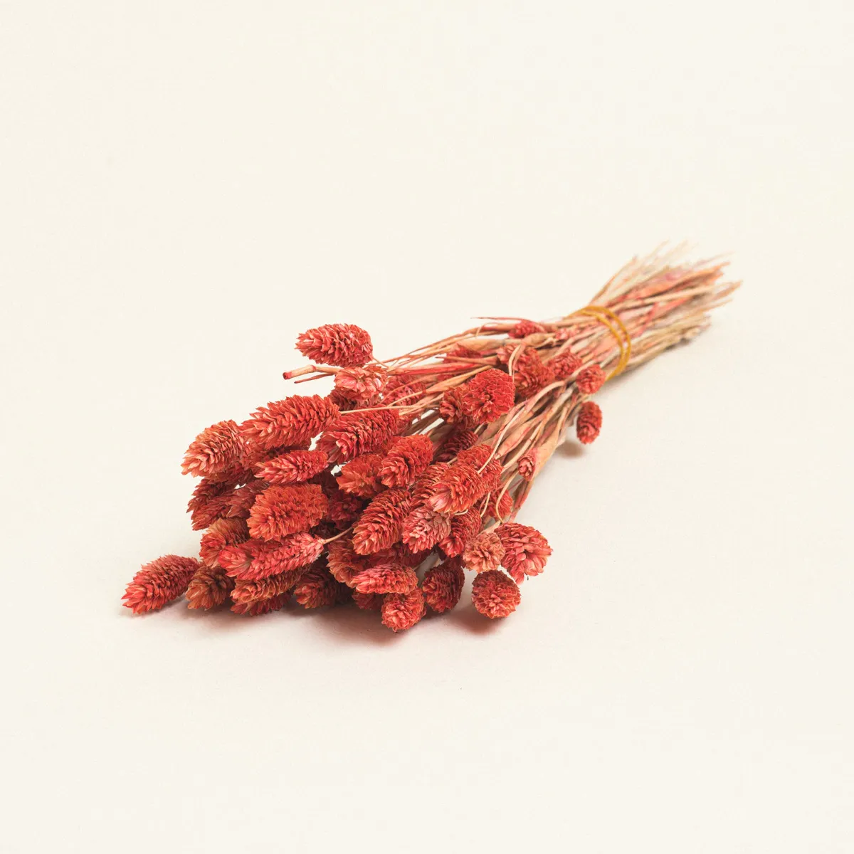 ΑΠΟΞΗΡΑΜΕΝΗ ΦΑΛΑΡΙΣ