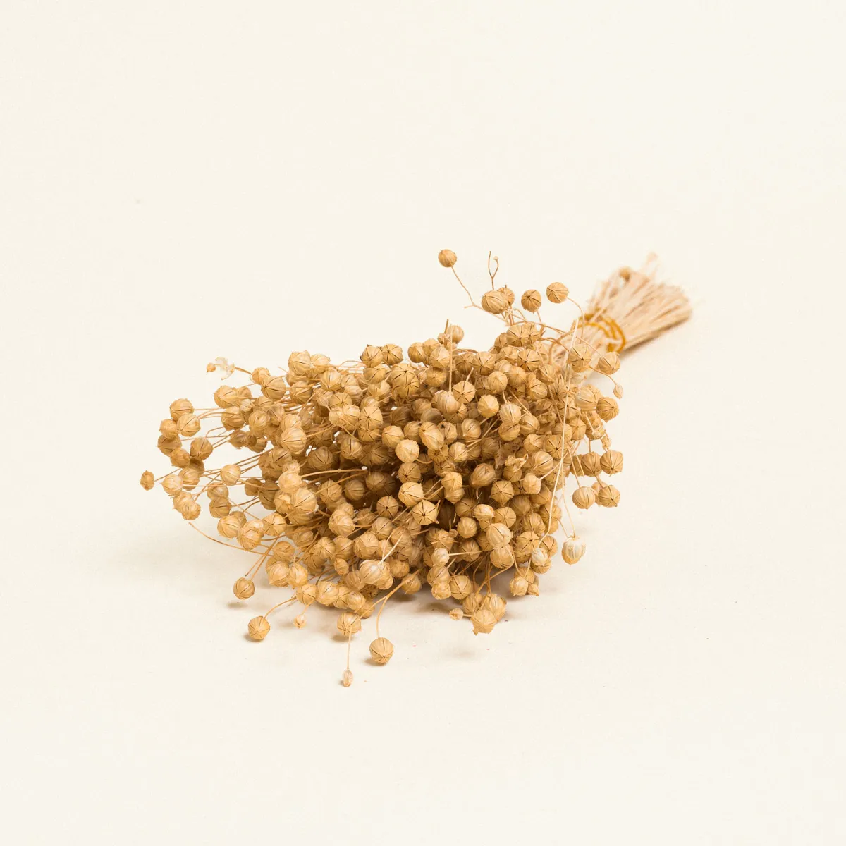 ΑΠΟΞΗΡΑΜΕΝΟ ΛΙΝΑΡΙ